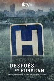 Cartel de Después del huracán