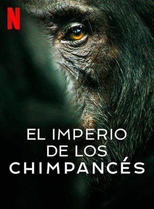 Cartel de El imperio de los chimpancés