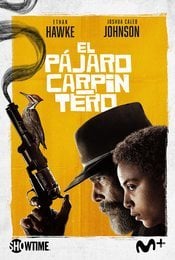 El pájaro carpintero