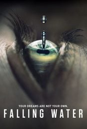 Cartel de Falling Water