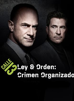 Ley y Orden: crimen organizado