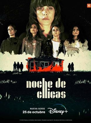 Cartel de Noche de Chicas