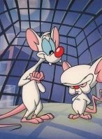 Pinky y Cerebro