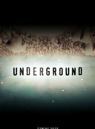 Cartel de Underground