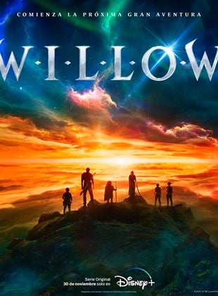 Cartel de Willow